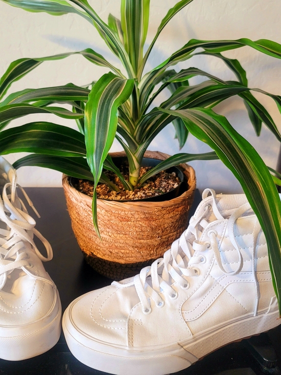 Vans Shoes - Vans White High-Top Canvas Sneakers